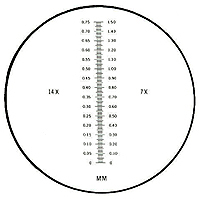 Miscellaneous Scales KR-2207 