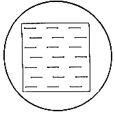 Merz Counting Chamber