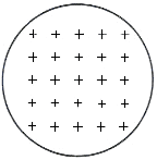 Grain Counter Point Array