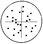 Point Array Grain Counter